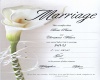 Wedding cert   us