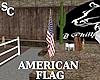 SC American Flag