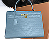 Kelly Handbag Blue 💙