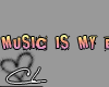 Music is my...