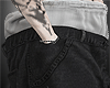 𝔁. Sig cargos