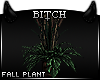 !B Fall For You Plant