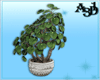 A3D* Plant