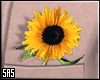 SAS-Cocoa Sunflower Req