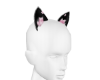 kawaii kitty black pink
