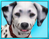Dalmatian Dog Decor