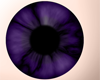 Violet Instinct eyes (M)