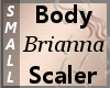 Body Scaler Brianna S