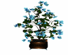 plante