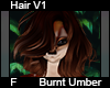 Burnt Umber Hair F V1