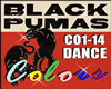 COLORS Black Pumas (Rmx)