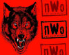 nWo WolfPac Club