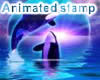 orca wale 2 stamp anim