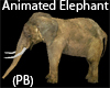 (PB)Animated Elephant