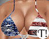 T! USA Flag Bikini