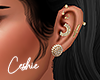 legacy earrings