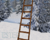 Mountain ladder
