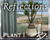 *B* Reflections Plant