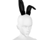 Bunny Black Ear 🐰