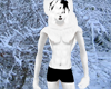 Snow Fox Fur [M]