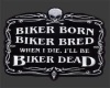 Biker Born Poster