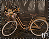 Fall Bicycle Flowers