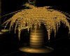 Golden Plants