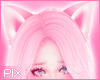 ! 🎀 Pink Hair A22