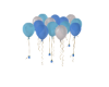 LK | Blue Balloon Roses