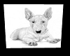 Bull Terrier *Canvas