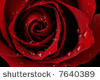 Black Red Rose Bubbles