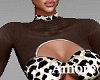 Amore SEXY MEOW Bundles