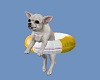 Little Floating Doggy 2