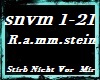 snvm 1-21