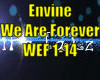 *Envine We Are Forever*
