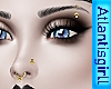 Gold Brow n Nose