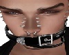 Face Belts- [M]