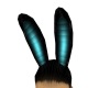 Teal Bunny Ears