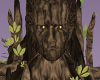 Man tree skin
