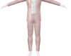 Terno rosa