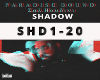 Shadow - Sal Houdini