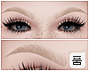 « Eyebrows Cream