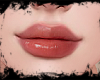 I. LIP ZELL V1