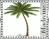 Animated Palm 2