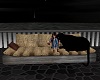 Rustic Couch/Black Tiger