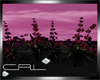 [CRL]Flowers Pink