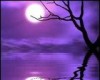 romantic purple moon
