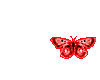Sm Red Butterfly