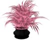 [BB]PinkStout Palm