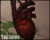 Realistic heart